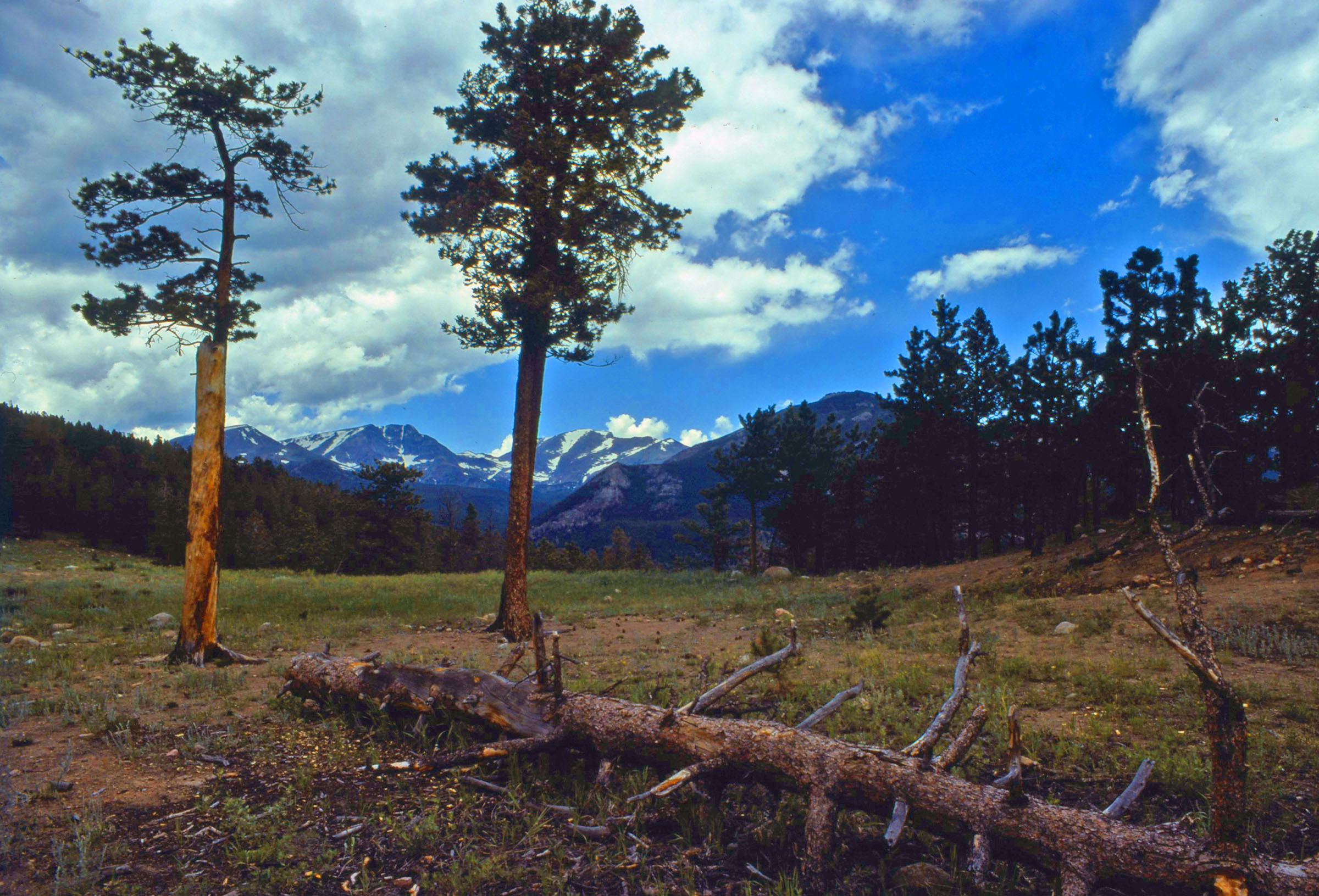 Rocky Mountain National Park